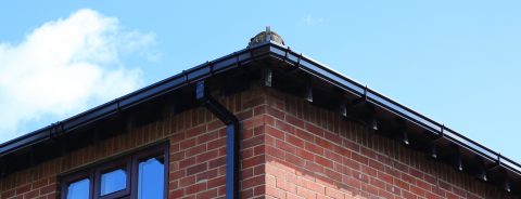 UPVC Rooflines Glasgow