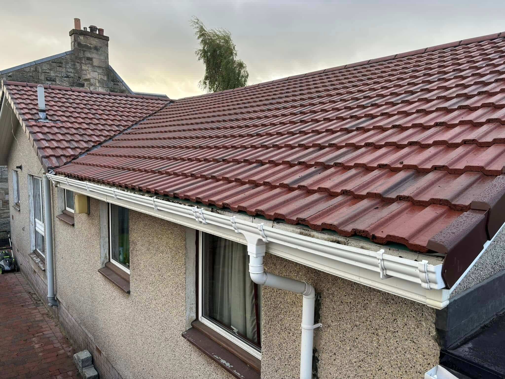 roof cleaning hamilton