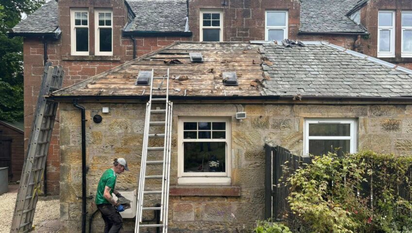 roof repairs hamilton