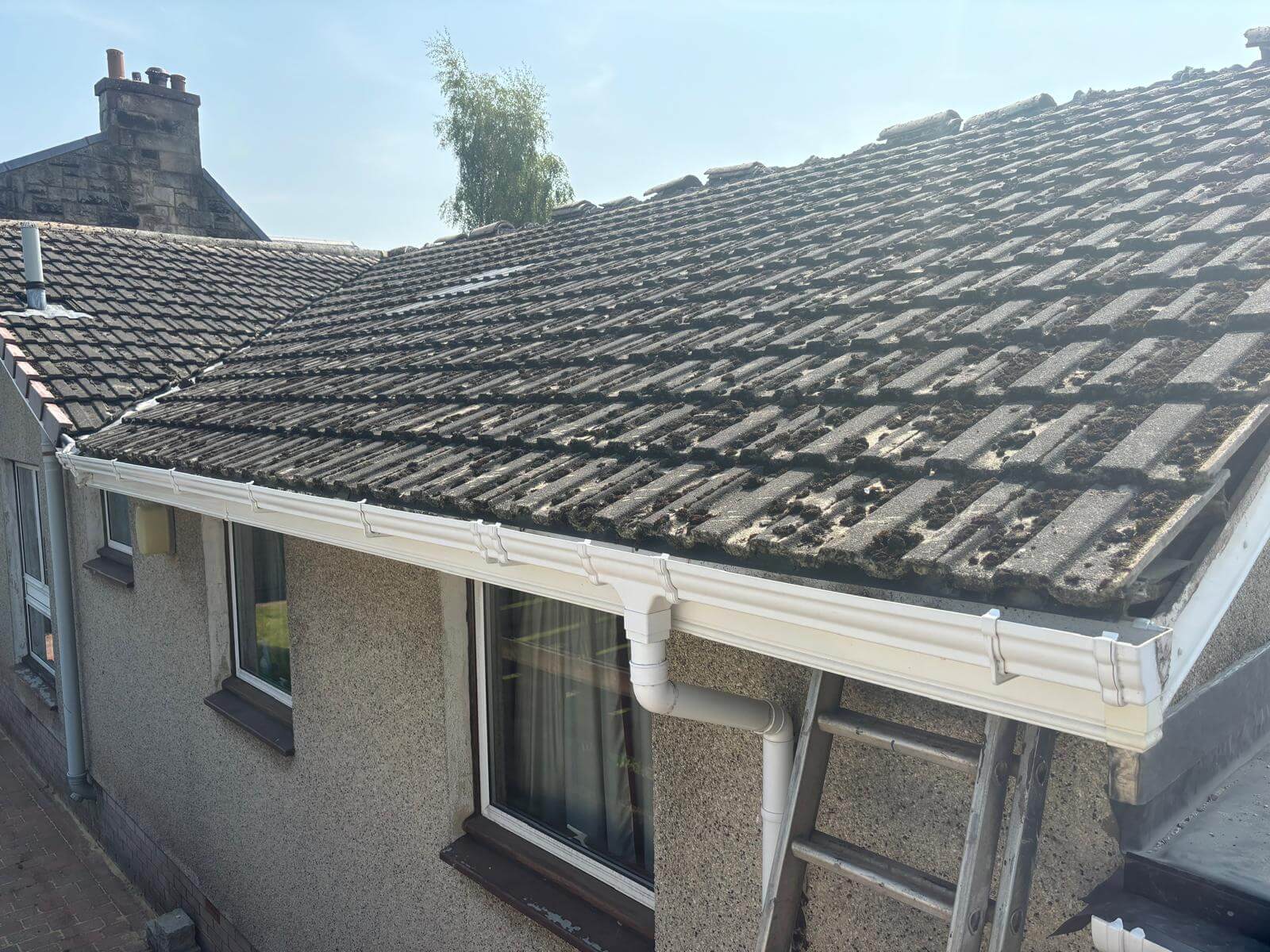 roof repair companies rutherglen