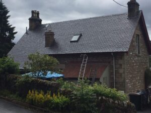 moss removal from roof near me