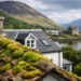 What Causes Roof Moss Growth on Scottish Homes?